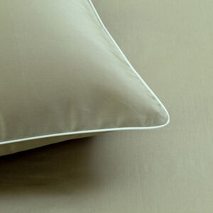 slide 3 Greenwich Euro Sham