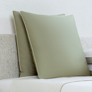 slide 2 Greenwich Euro Sham